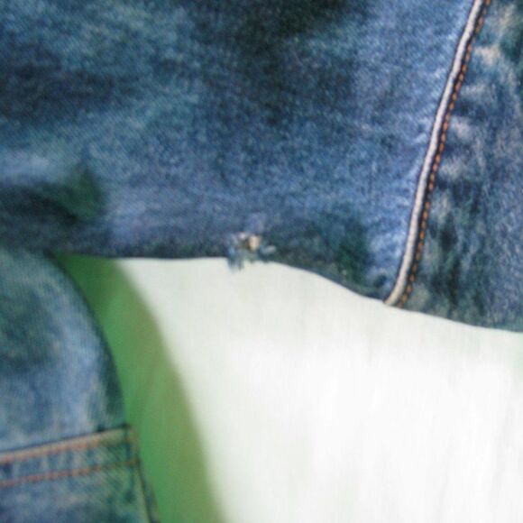 Vintage Levis Custom Parrot Graphic Acid-Wash Denim Jacket - Picture 6 of 6